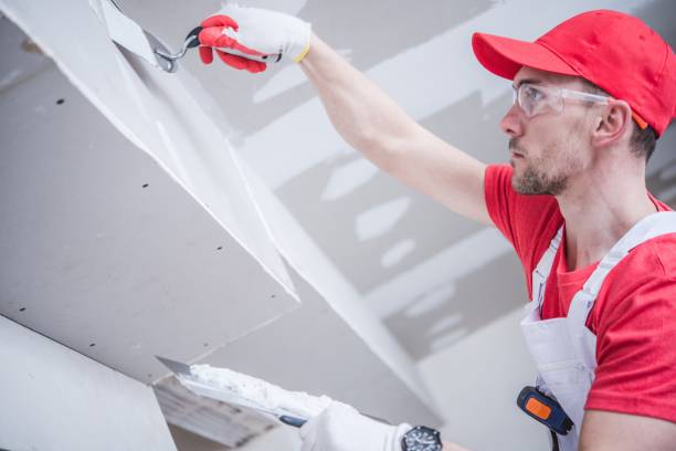 Professional Drywall & Painting Services in Roy, UT